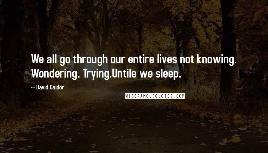 David Gaider Quotes: We all go through our entire lives not knowing. Wondering. Trying.Untile we sleep.