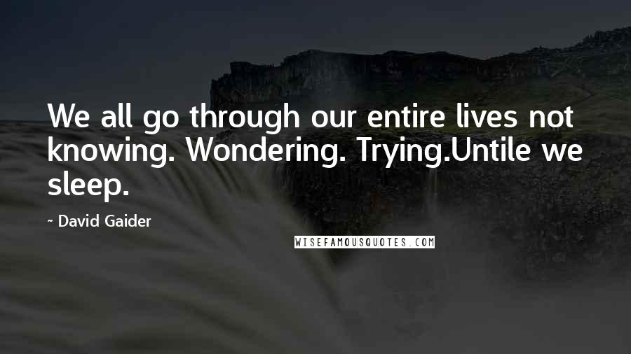 David Gaider Quotes: We all go through our entire lives not knowing. Wondering. Trying.Untile we sleep.