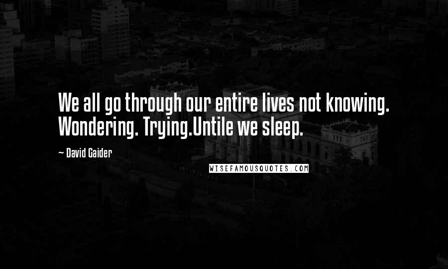 David Gaider Quotes: We all go through our entire lives not knowing. Wondering. Trying.Untile we sleep.
