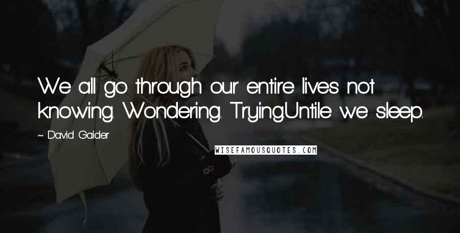 David Gaider Quotes: We all go through our entire lives not knowing. Wondering. Trying.Untile we sleep.