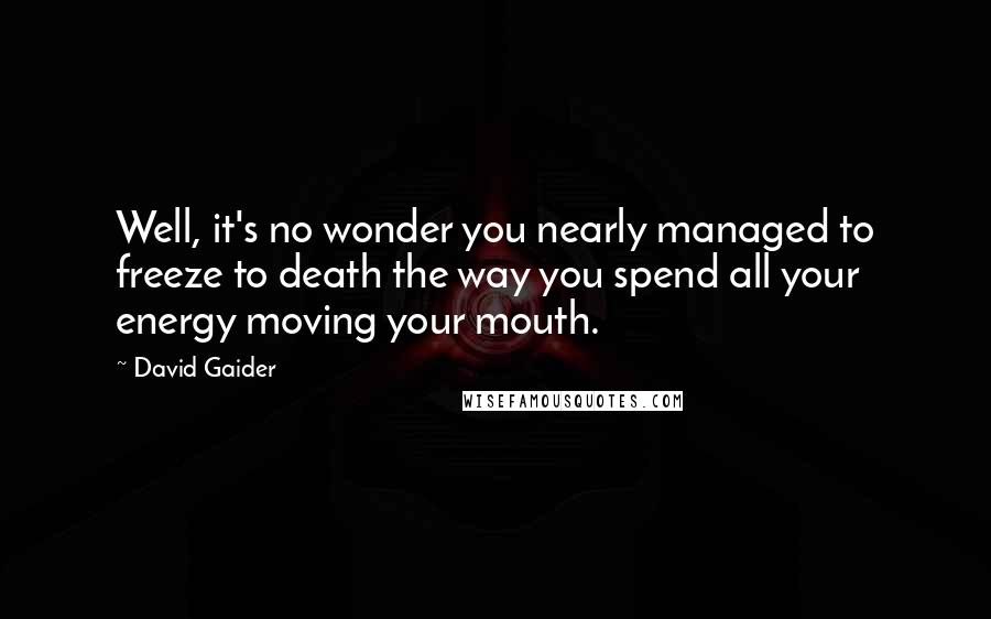 David Gaider Quotes: Well, it's no wonder you nearly managed to freeze to death the way you spend all your energy moving your mouth.