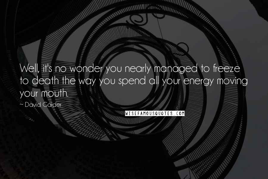 David Gaider Quotes: Well, it's no wonder you nearly managed to freeze to death the way you spend all your energy moving your mouth.