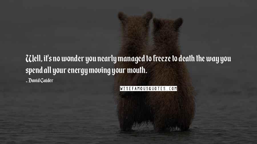 David Gaider Quotes: Well, it's no wonder you nearly managed to freeze to death the way you spend all your energy moving your mouth.