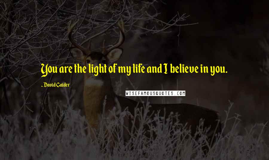 David Gaider Quotes: You are the light of my life and I believe in you.