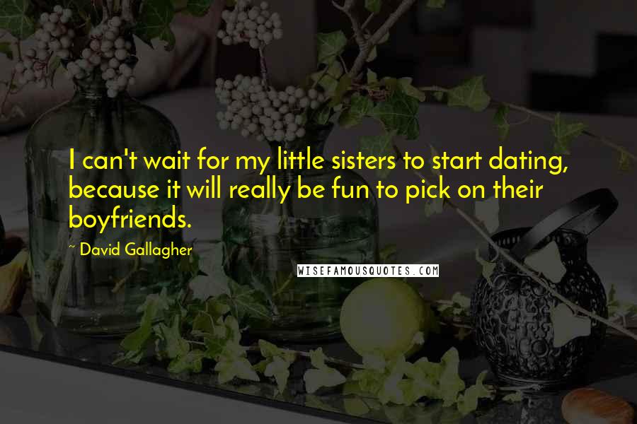 David Gallagher Quotes: I can't wait for my little sisters to start dating, because it will really be fun to pick on their boyfriends.