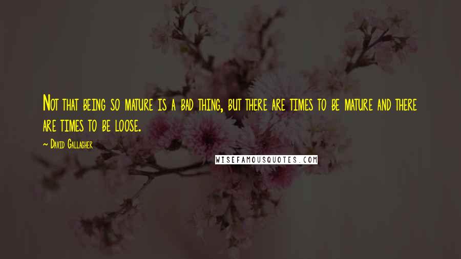 David Gallagher Quotes: Not that being so mature is a bad thing, but there are times to be mature and there are times to be loose.