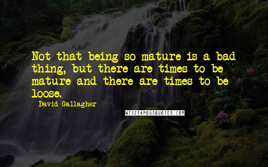 David Gallagher Quotes: Not that being so mature is a bad thing, but there are times to be mature and there are times to be loose.