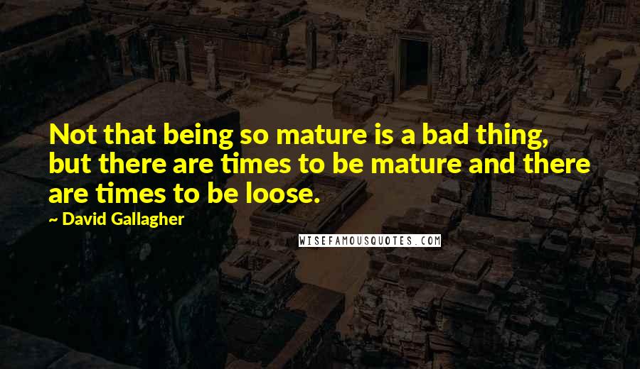 David Gallagher Quotes: Not that being so mature is a bad thing, but there are times to be mature and there are times to be loose.