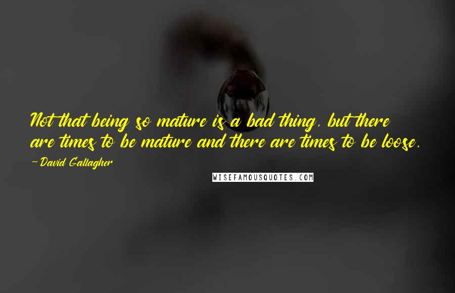 David Gallagher Quotes: Not that being so mature is a bad thing, but there are times to be mature and there are times to be loose.