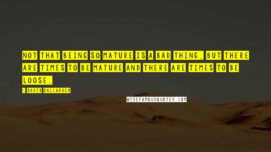 David Gallagher Quotes: Not that being so mature is a bad thing, but there are times to be mature and there are times to be loose.