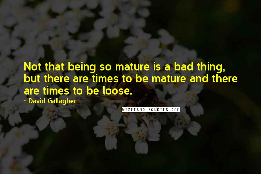 David Gallagher Quotes: Not that being so mature is a bad thing, but there are times to be mature and there are times to be loose.