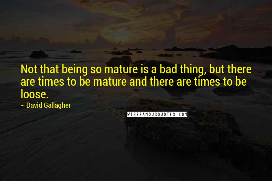 David Gallagher Quotes: Not that being so mature is a bad thing, but there are times to be mature and there are times to be loose.