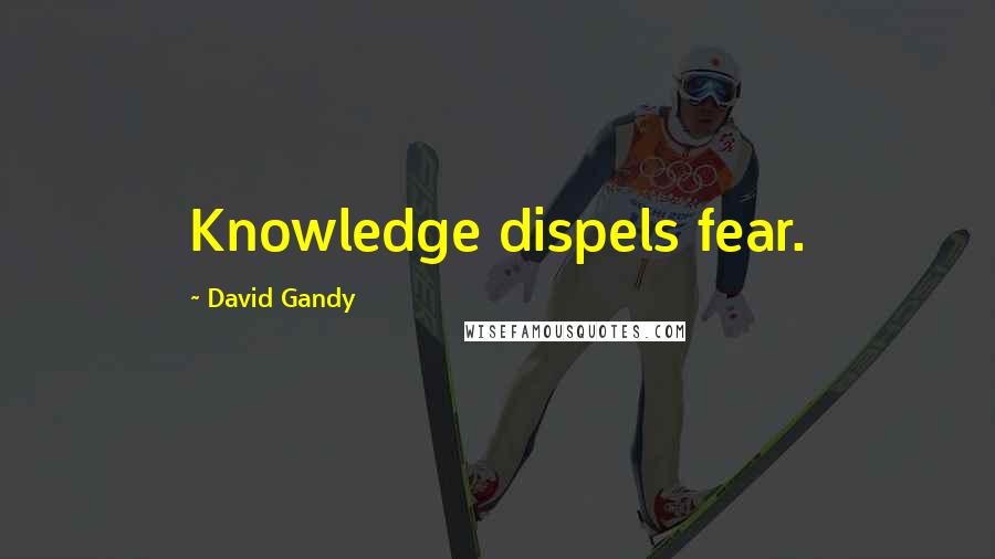 David Gandy Quotes: Knowledge dispels fear.