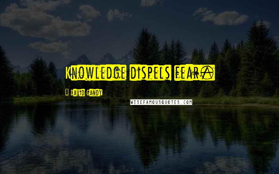 David Gandy Quotes: Knowledge dispels fear.