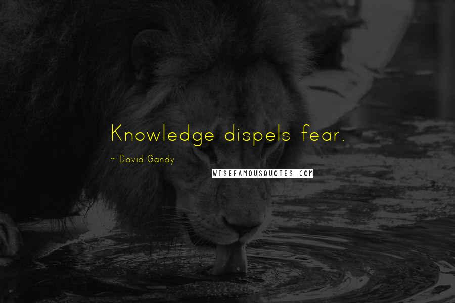 David Gandy Quotes: Knowledge dispels fear.