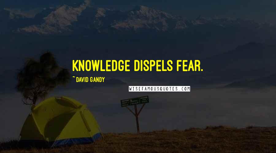 David Gandy Quotes: Knowledge dispels fear.