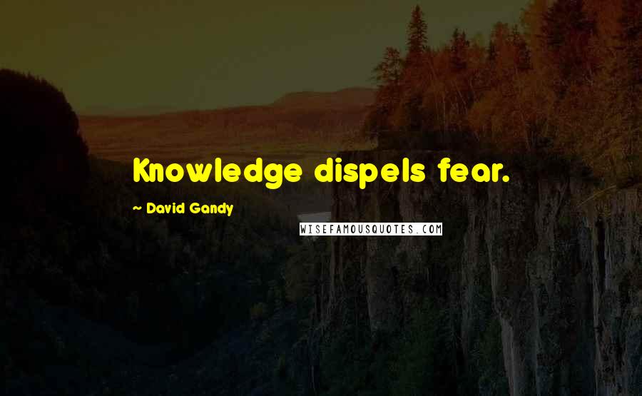 David Gandy Quotes: Knowledge dispels fear.