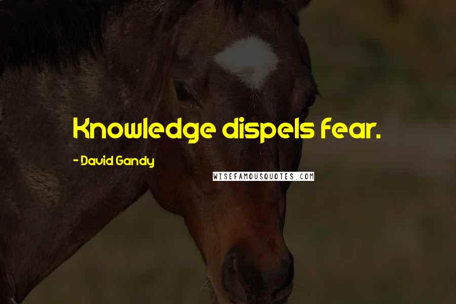 David Gandy Quotes: Knowledge dispels fear.