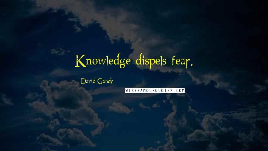 David Gandy Quotes: Knowledge dispels fear.