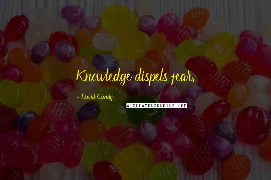 David Gandy Quotes: Knowledge dispels fear.