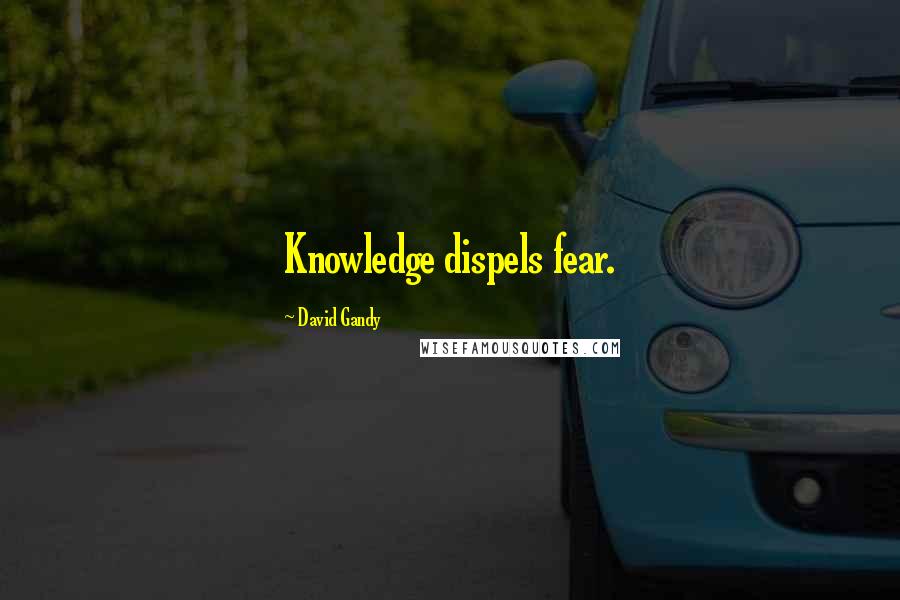 David Gandy Quotes: Knowledge dispels fear.