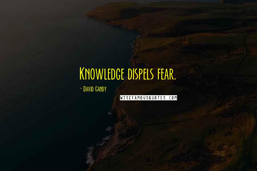 David Gandy Quotes: Knowledge dispels fear.