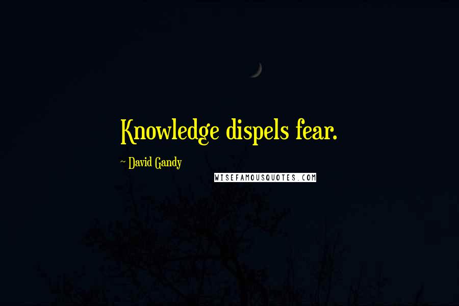 David Gandy Quotes: Knowledge dispels fear.