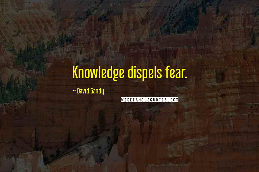 David Gandy Quotes: Knowledge dispels fear.