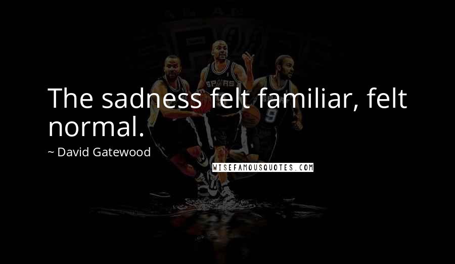 David Gatewood Quotes: The sadness felt familiar, felt normal.