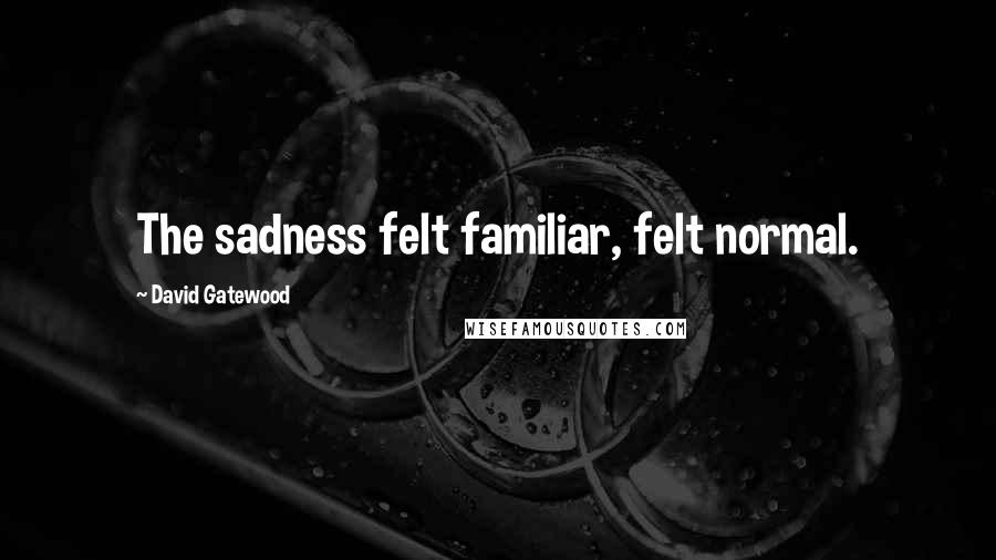 David Gatewood Quotes: The sadness felt familiar, felt normal.