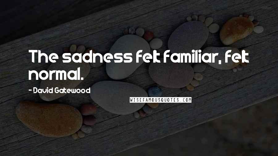David Gatewood Quotes: The sadness felt familiar, felt normal.