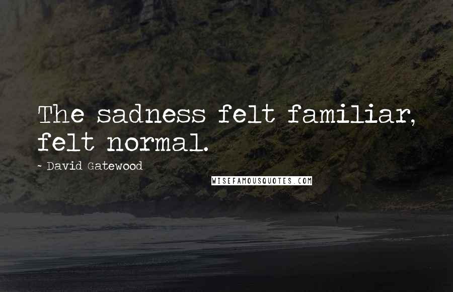 David Gatewood Quotes: The sadness felt familiar, felt normal.