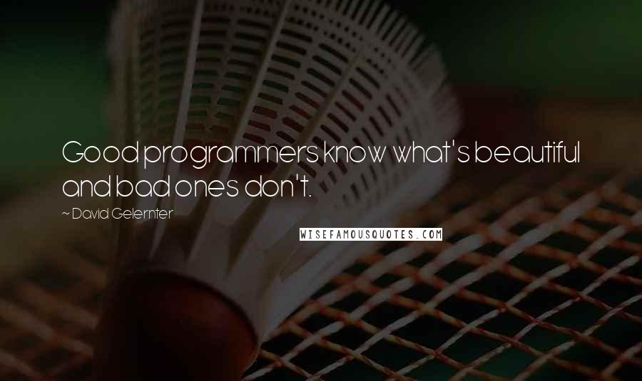 David Gelernter Quotes: Good programmers know what's beautiful and bad ones don't.