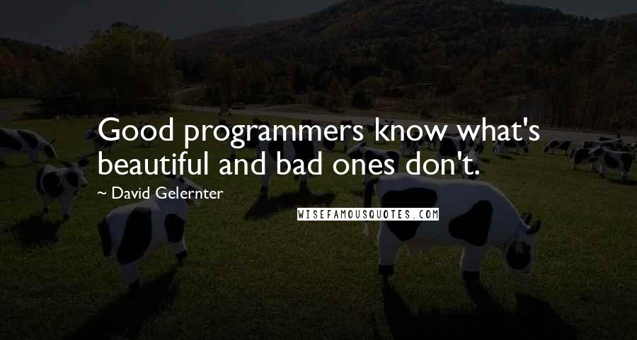 David Gelernter Quotes: Good programmers know what's beautiful and bad ones don't.