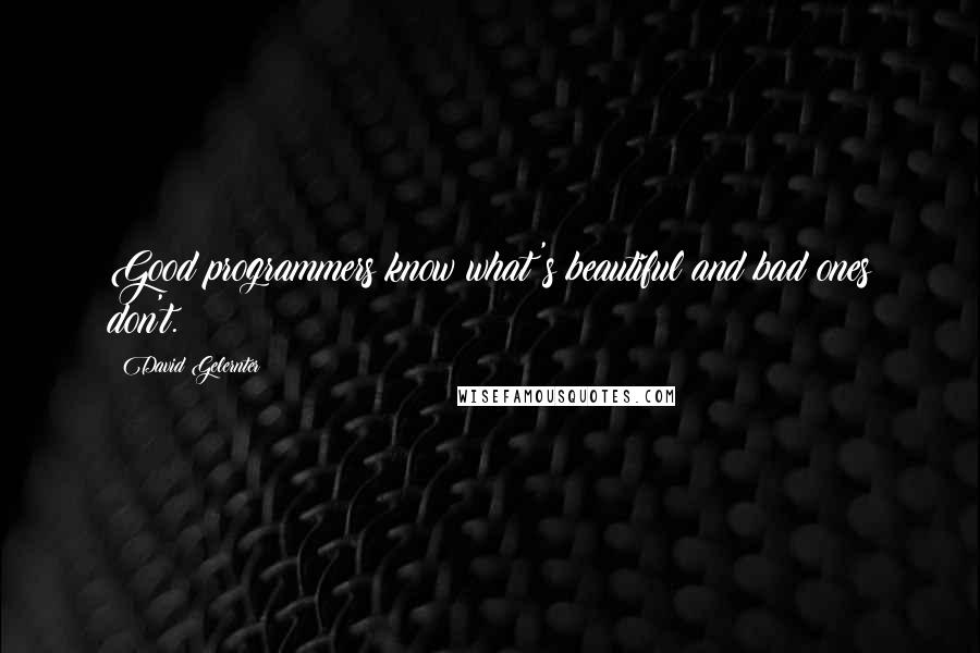 David Gelernter Quotes: Good programmers know what's beautiful and bad ones don't.