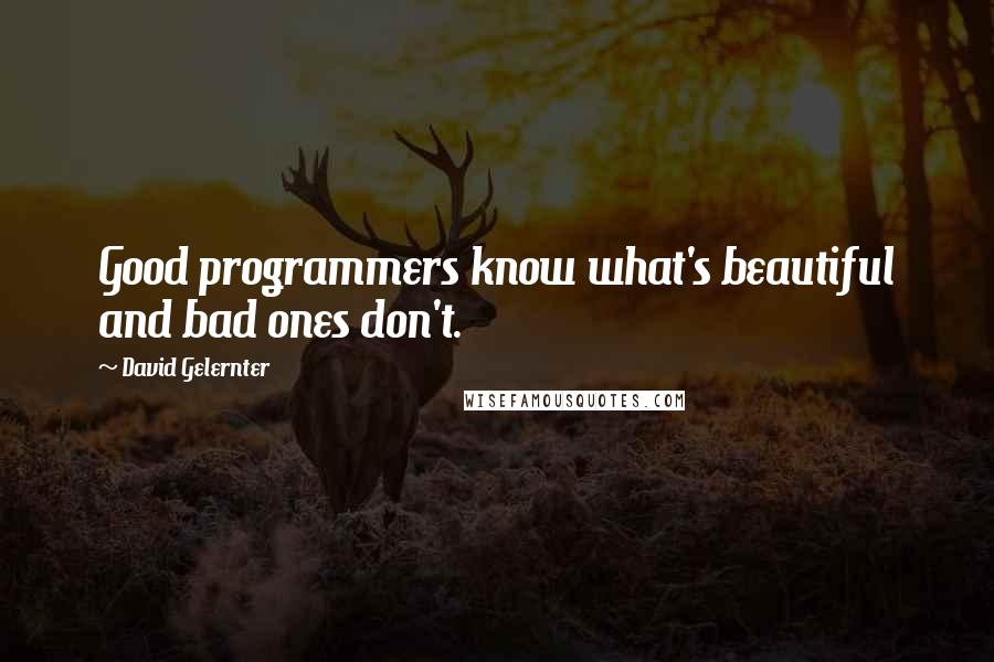 David Gelernter Quotes: Good programmers know what's beautiful and bad ones don't.