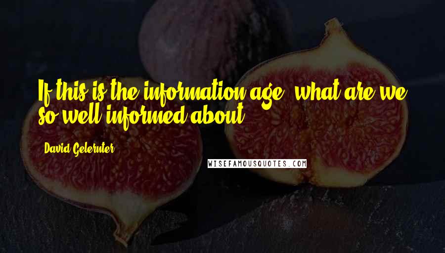 David Gelernter Quotes: If this is the information age, what are we so well-informed about?