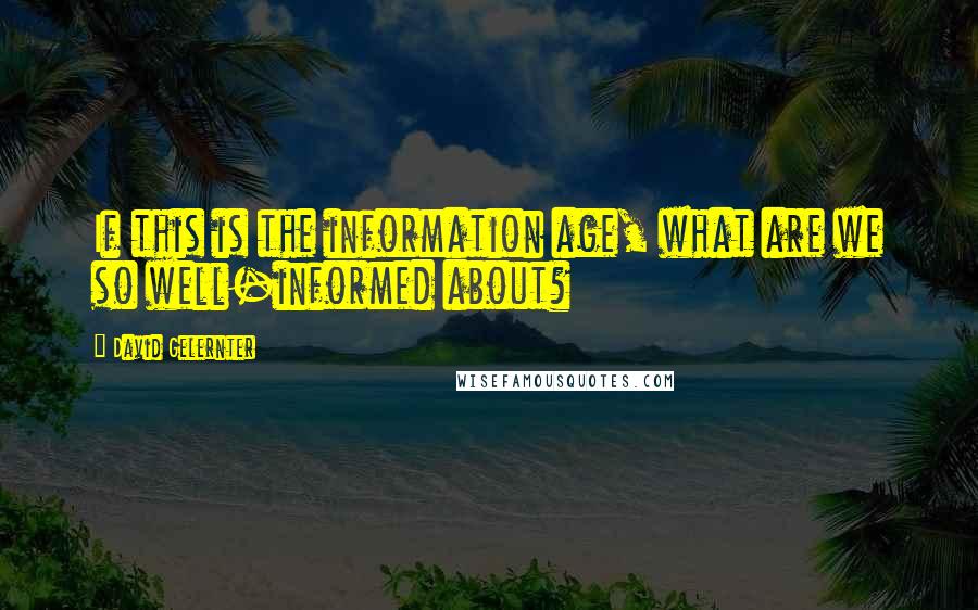 David Gelernter Quotes: If this is the information age, what are we so well-informed about?