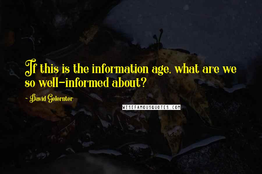 David Gelernter Quotes: If this is the information age, what are we so well-informed about?