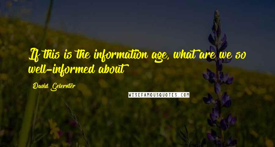 David Gelernter Quotes: If this is the information age, what are we so well-informed about?