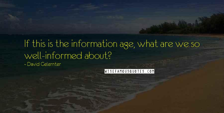 David Gelernter Quotes: If this is the information age, what are we so well-informed about?