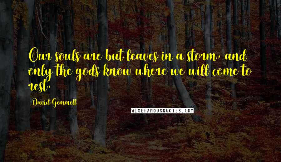 David Gemmell Quotes: Our souls are but leaves in a storm, and only the gods know where we will come to rest.