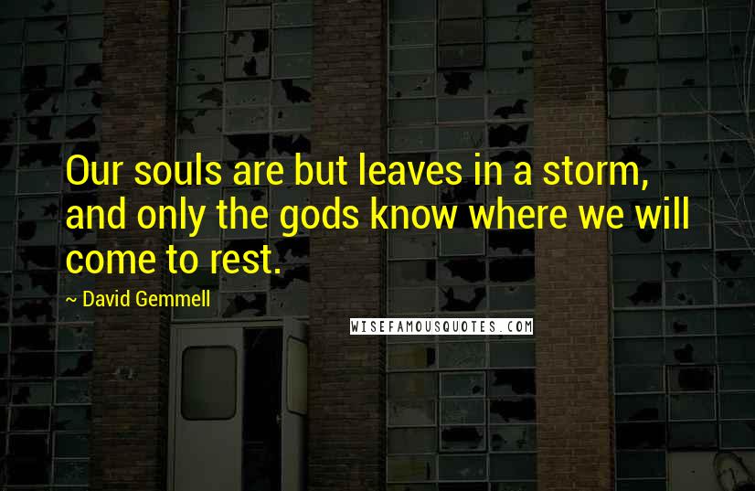 David Gemmell Quotes: Our souls are but leaves in a storm, and only the gods know where we will come to rest.