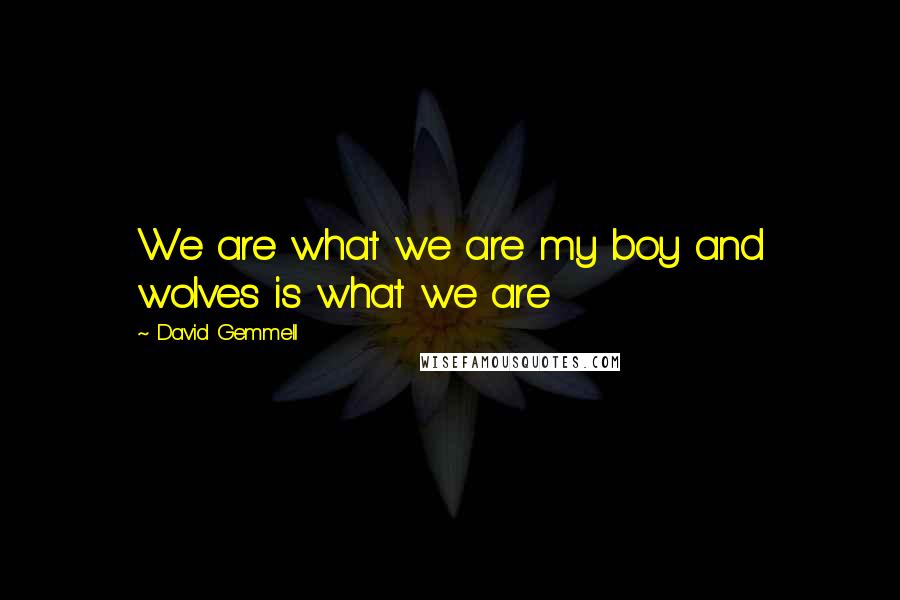 David Gemmell Quotes: We are what we are my boy and wolves is what we are