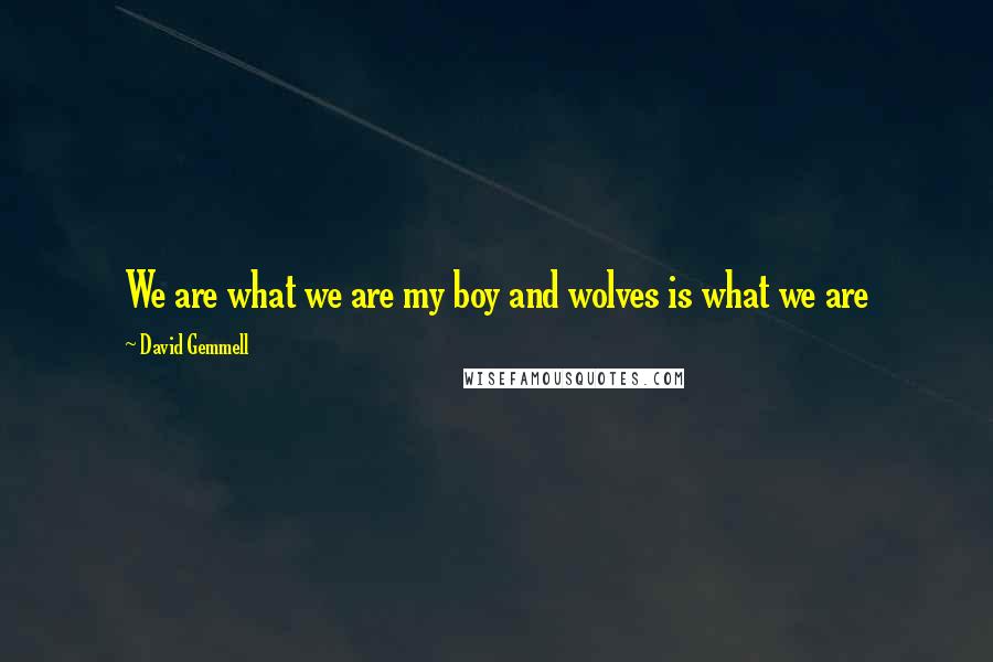 David Gemmell Quotes: We are what we are my boy and wolves is what we are