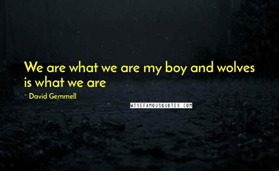 David Gemmell Quotes: We are what we are my boy and wolves is what we are