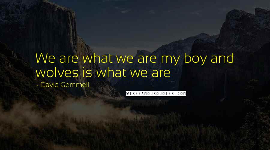 David Gemmell Quotes: We are what we are my boy and wolves is what we are