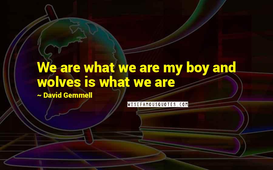 David Gemmell Quotes: We are what we are my boy and wolves is what we are