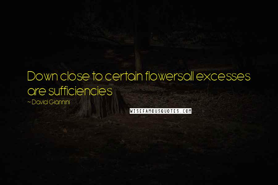 David Giannini Quotes: Down close to certain flowersall excesses are sufficiencies