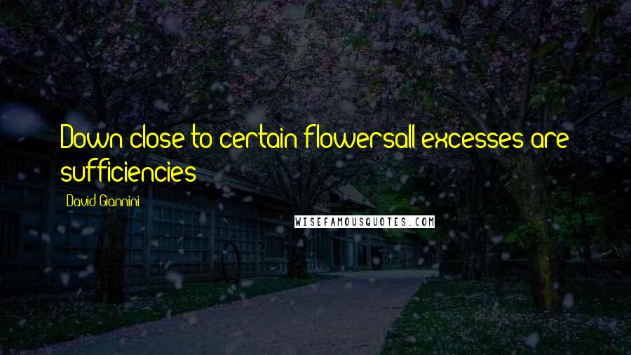 David Giannini Quotes: Down close to certain flowersall excesses are sufficiencies